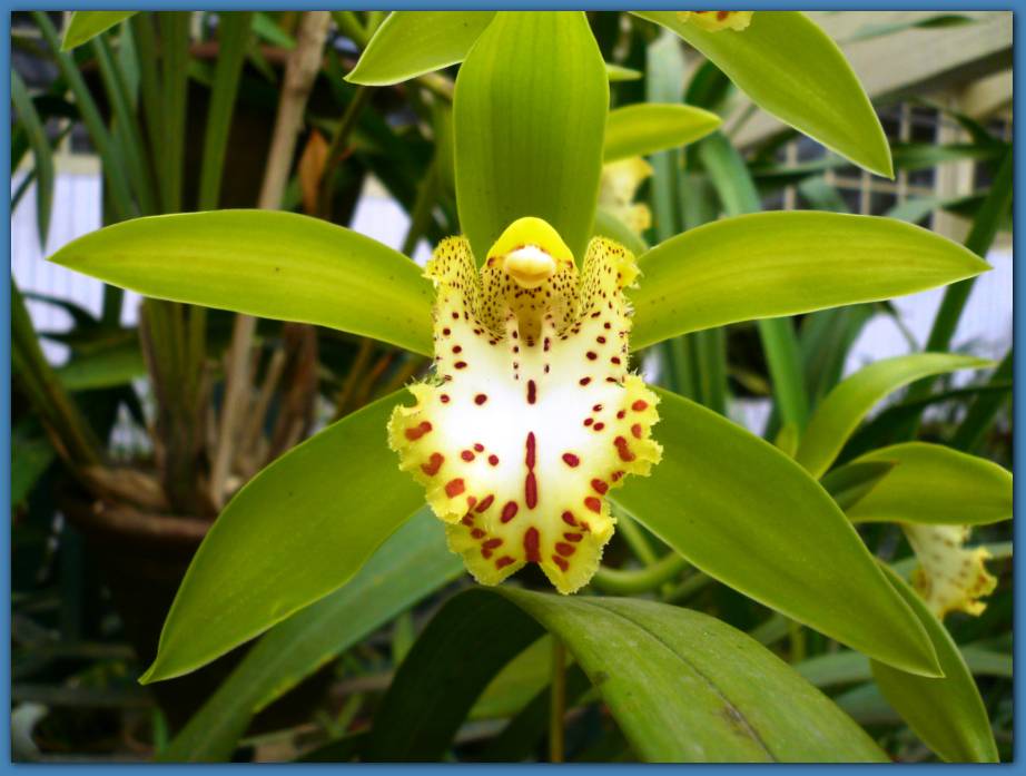 900x674 pixels (68K)